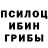 Галлюциногенные грибы Psilocybe Yusuf Salama